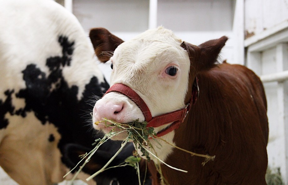 78FD7FC1-5470-4528-A9E0-93492F735641