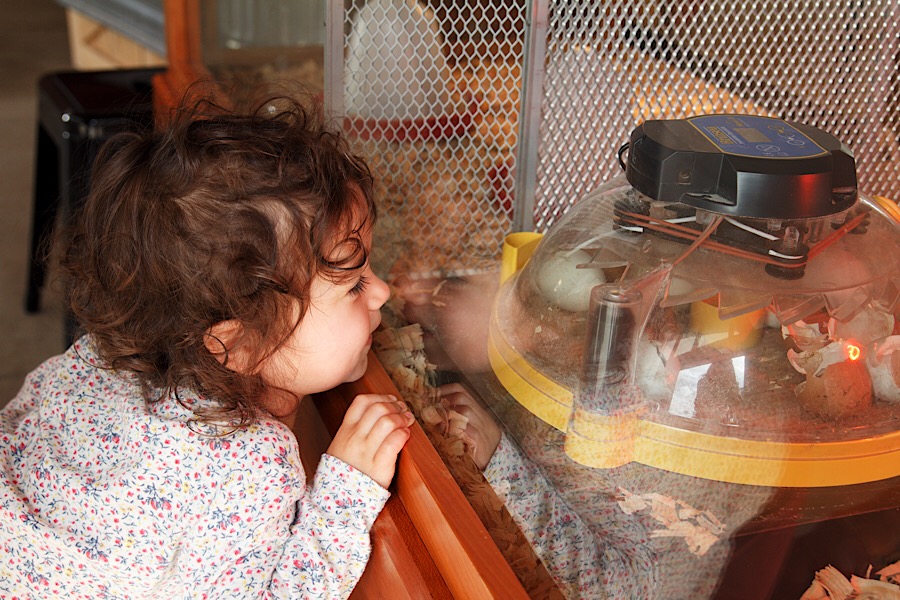 94BC20C7-B25D-4CA8-9252-4BFD1F3FDA85