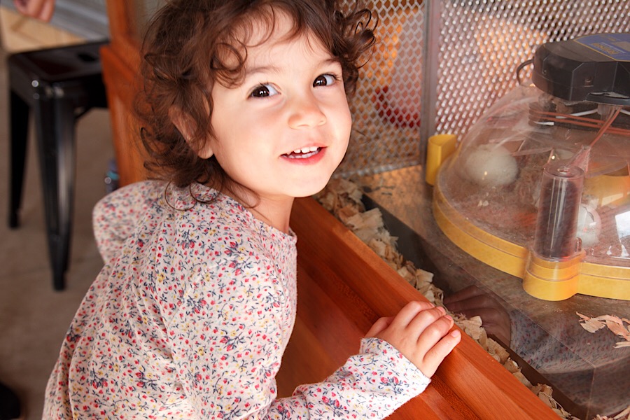 D60520E0-1553-4231-A14E-D3A58620E6E5