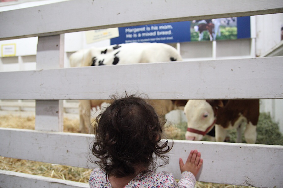 E23F6A9E-D5A2-4956-B5FE-8468B807F460