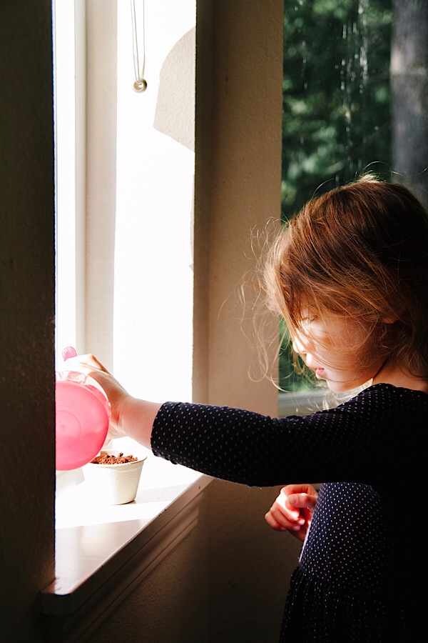 392BF310-D958-457E-A20E-DB56BEA29E19