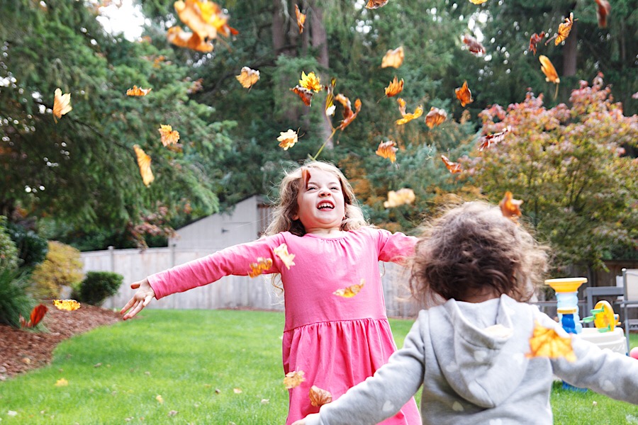 6460569D-2337-4F95-87B3-7A62940F29B3