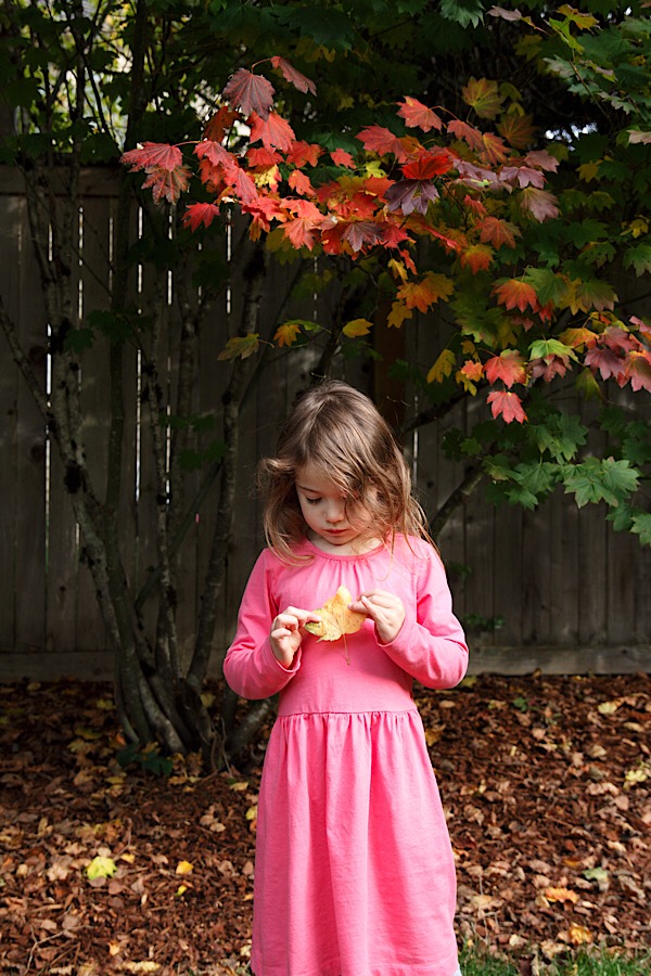 686383FF-CA77-4616-B6BA-02EFDFEB4241