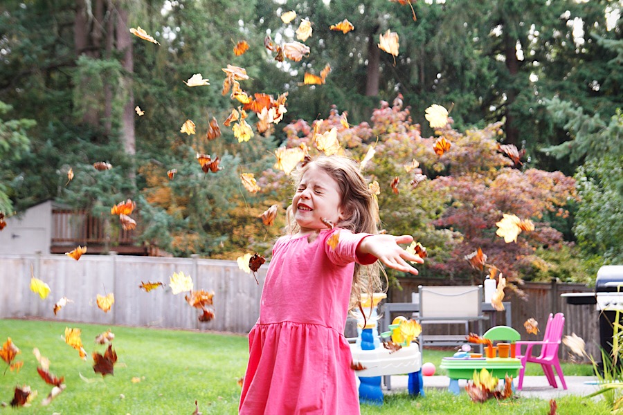 8D014B2A-2CFD-4011-903D-75FC8CB17F23