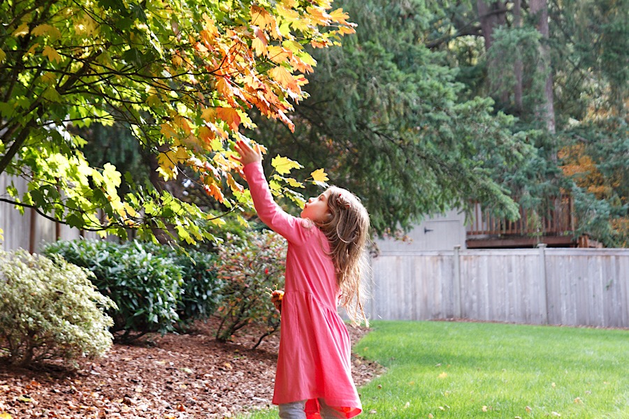 96A0E736-CE84-4200-ACB5-65E749D7AB03