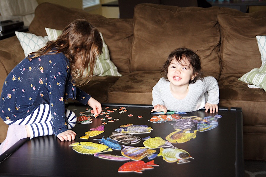 C8FD5F25-9E4F-4799-BF00-C08CACF5CFA1