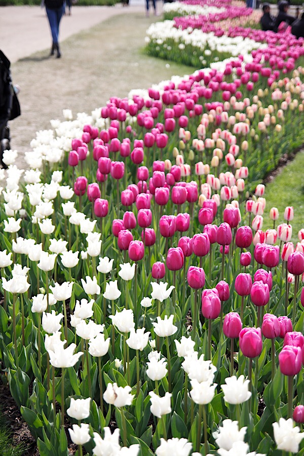 0C5979B0-2EDA-47F7-975D-A877D0CA55FC