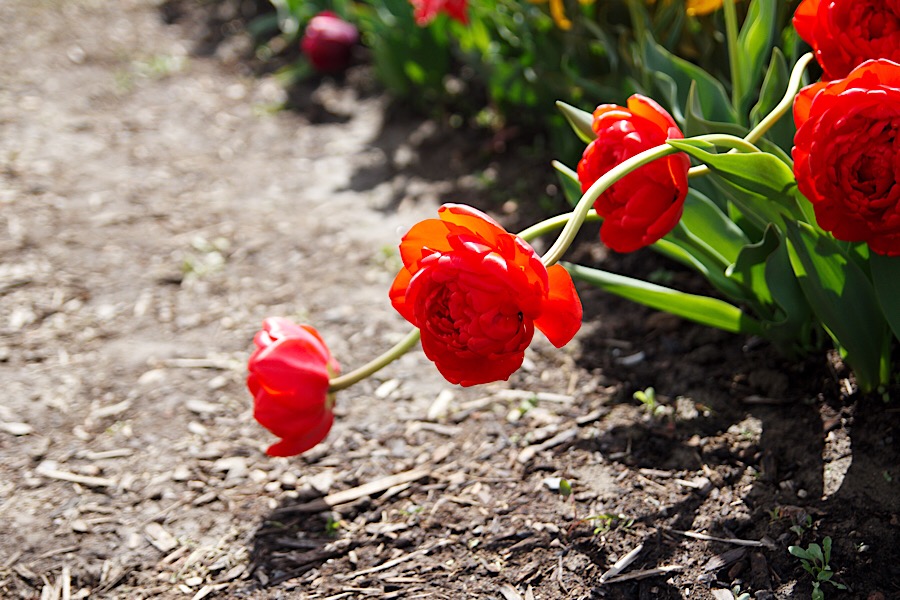 227713B4-160C-4F13-A812-F73A58F03D83