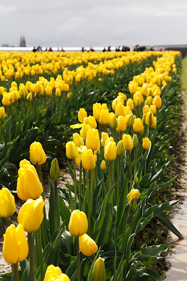 39439B6C-D98A-4C03-8125-A34401198639