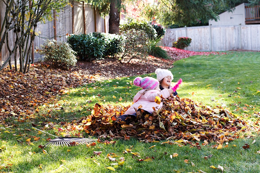 3B088CB4-07B9-41A5-80F9-FDB281B23EF3