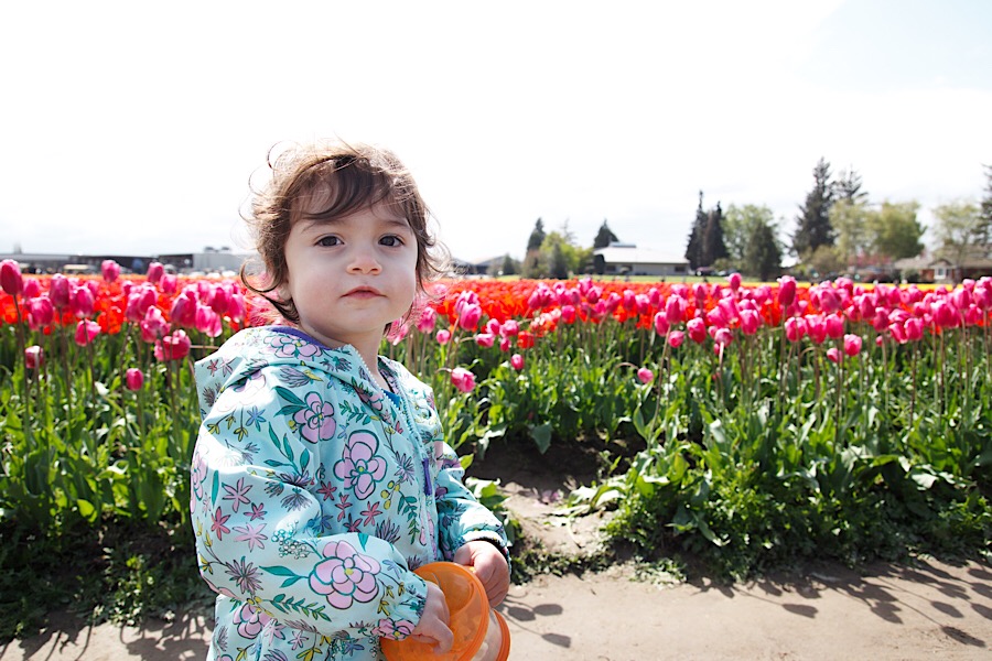 4844457F-1956-48CF-83E6-6B8D5802C9EA