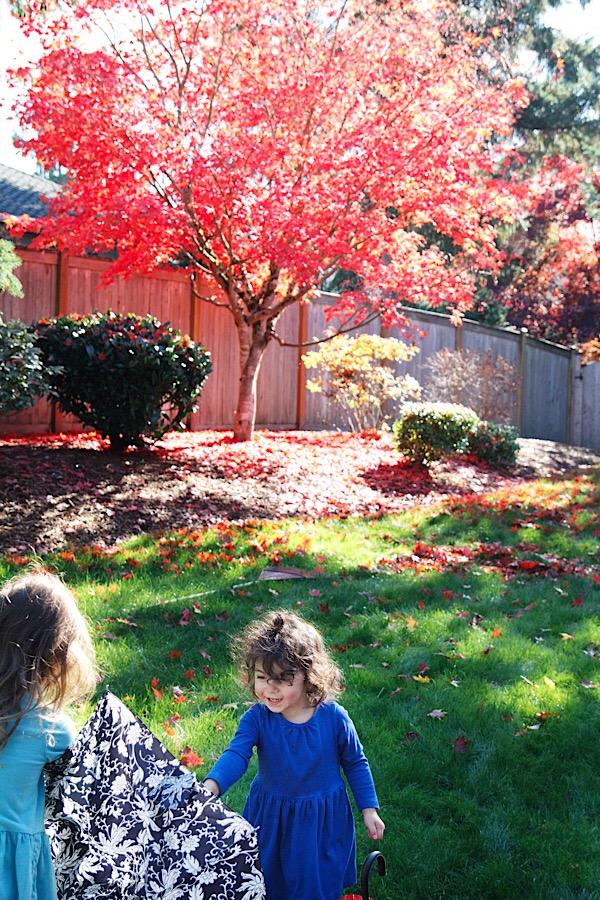 4A1C46A9-789B-4D69-B8F2-183B28314525