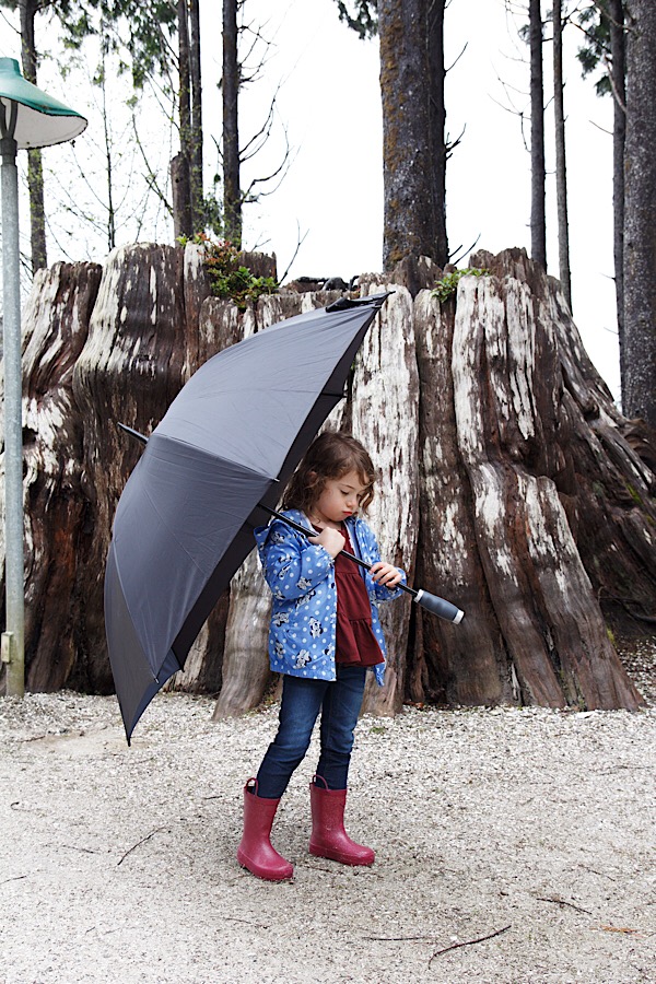 671F332F-FBDC-4102-A95F-DED5B48997F4