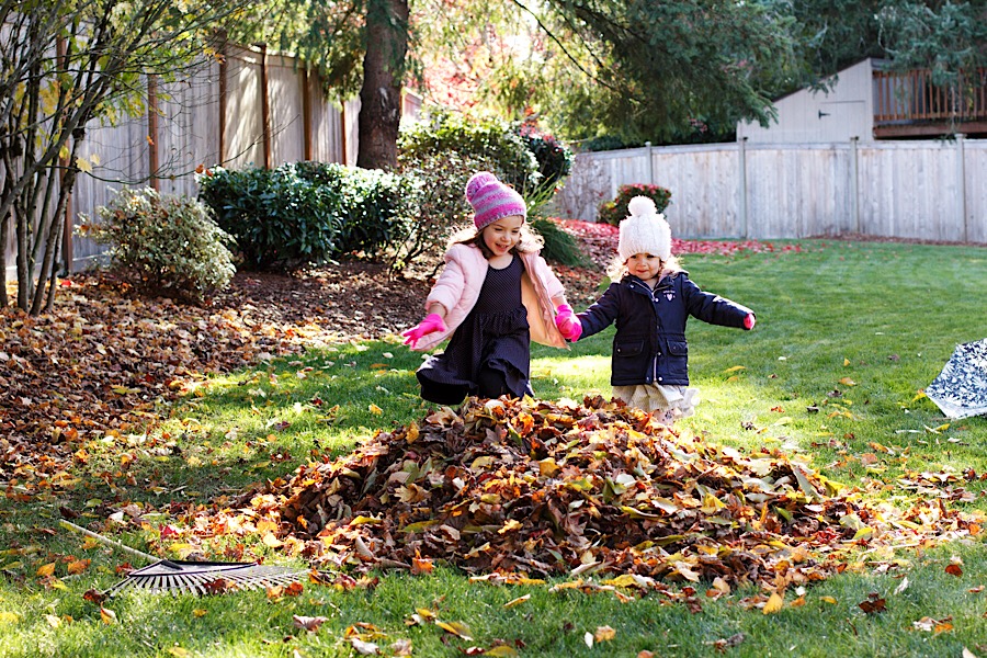 68C6F5D8-4BB6-44F1-8150-DB5C218D525F