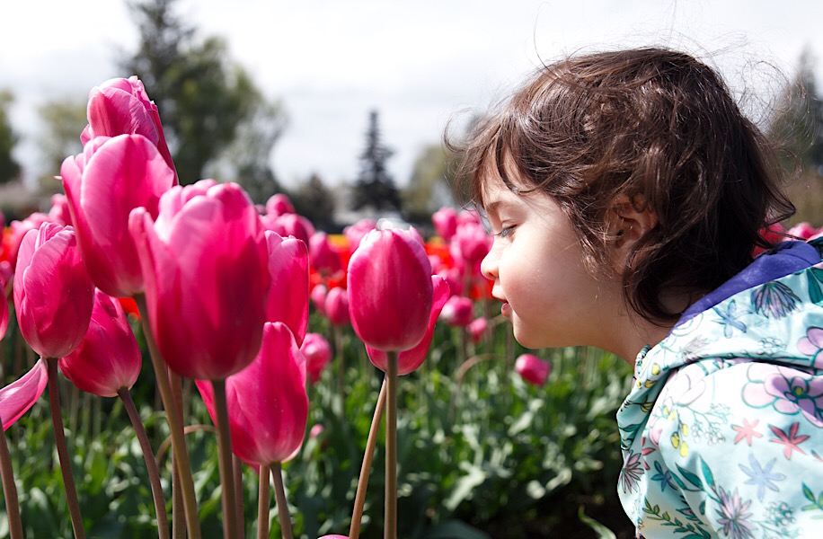 83519453-3196-4025-BF7C-D71D7D11C157