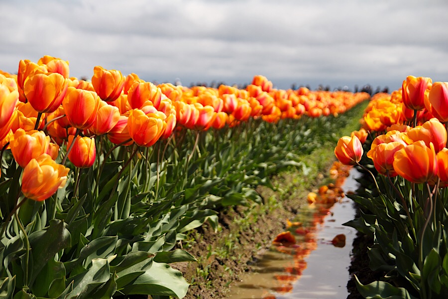 A175BD98-8412-420B-835A-F4E7BC30E5D0