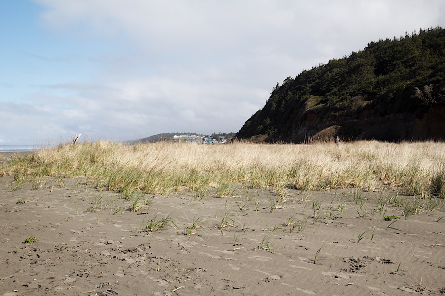 AACEF2CE-184C-4E11-962D-78B4F029211D