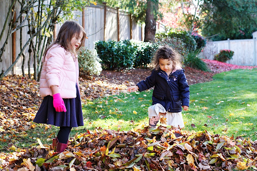 BBB9566D-D648-4251-AD0C-64B56C8BA2D5