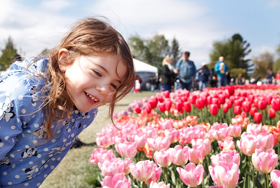 C5988133-7F03-4B72-8BD7-A6E7F23346D9