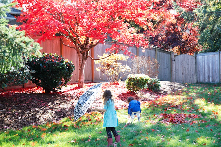 C6D2B041-A6CB-4F7E-8367-C88A352B399A