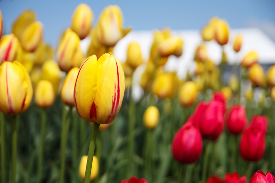 EE6D8676-C4AD-4C64-AFAF-B15B83769BF2