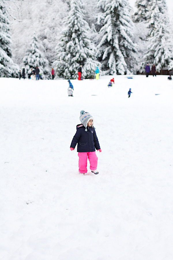 E1478C99-329E-46D5-92BE-827111435185