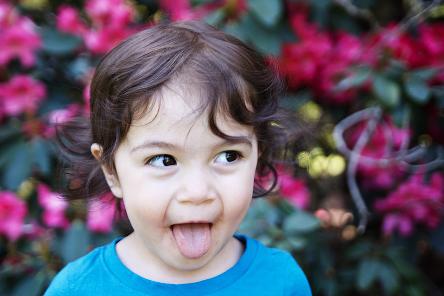 13E8C22A-1DB8-44EA-B45C-D9D98842542B