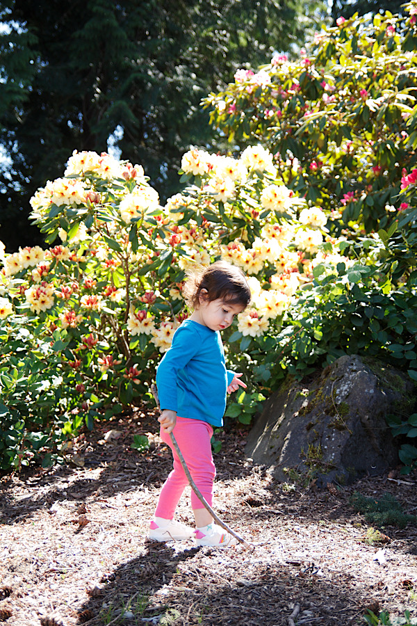 2F1A74F8-3196-4159-A361-6B92DF660B6D