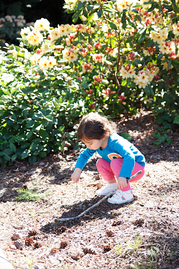 4A5565B4-646D-455D-A350-9F8CEA5F14A4