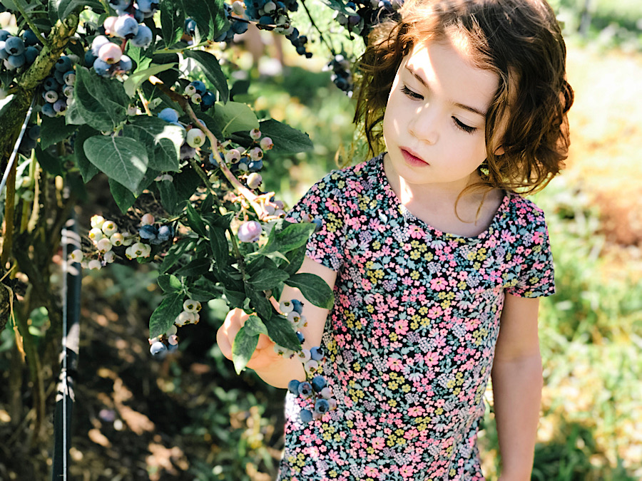 1396F554-6EA6-405E-BE99-F804BA7F86E5