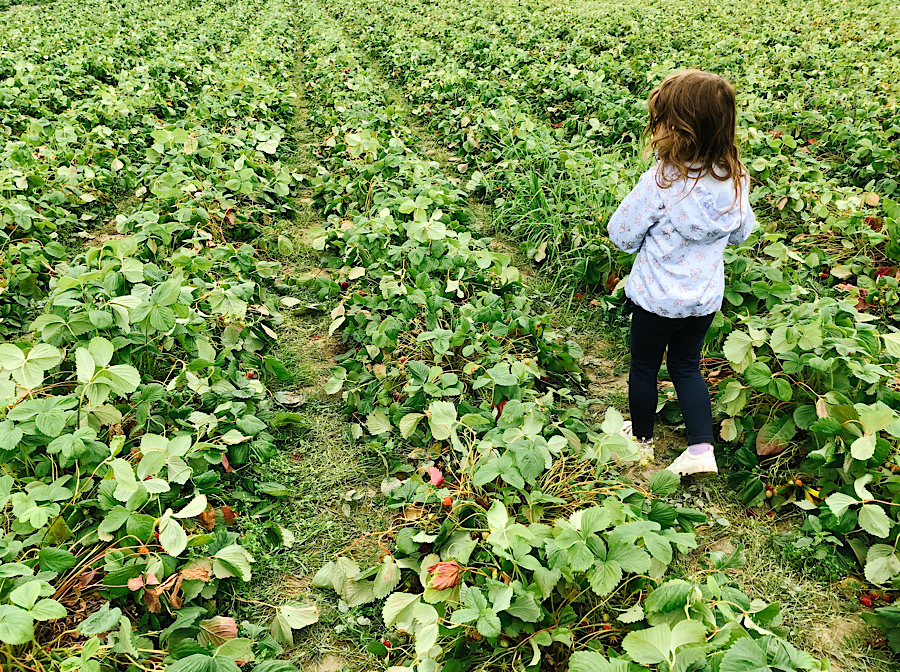 1744D51A-0330-45EC-8692-989321ACE15F