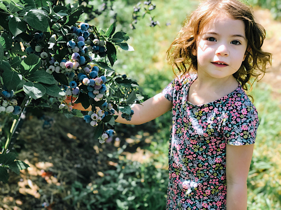 18730184-0FE8-40CB-A5E0-D666BAB3695C