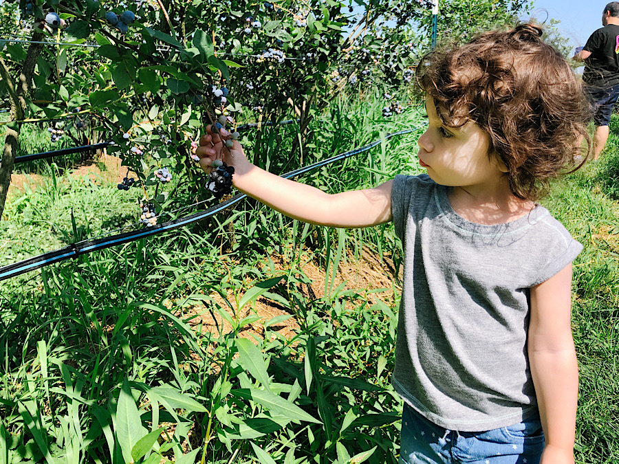 2BBAABC0-A175-481A-B820-6B461A605A82