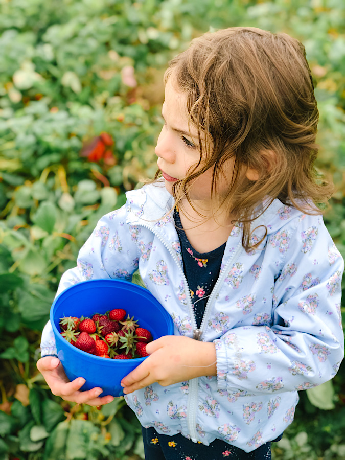 3CA19465-0A34-4390-A237-E8D47461B353