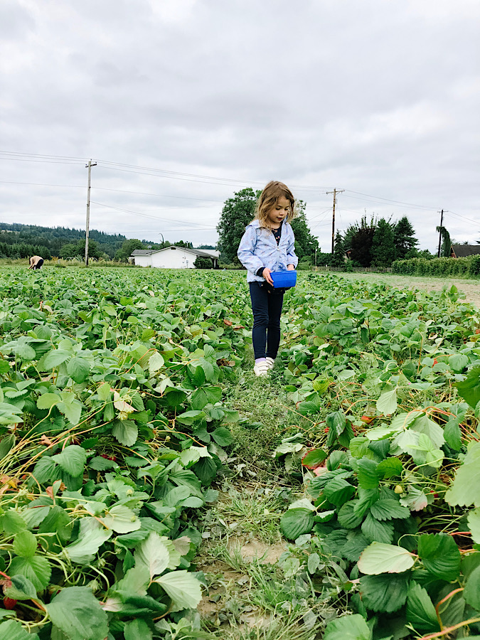 405898F2-3A66-4F5C-A3EE-1B435FE68769