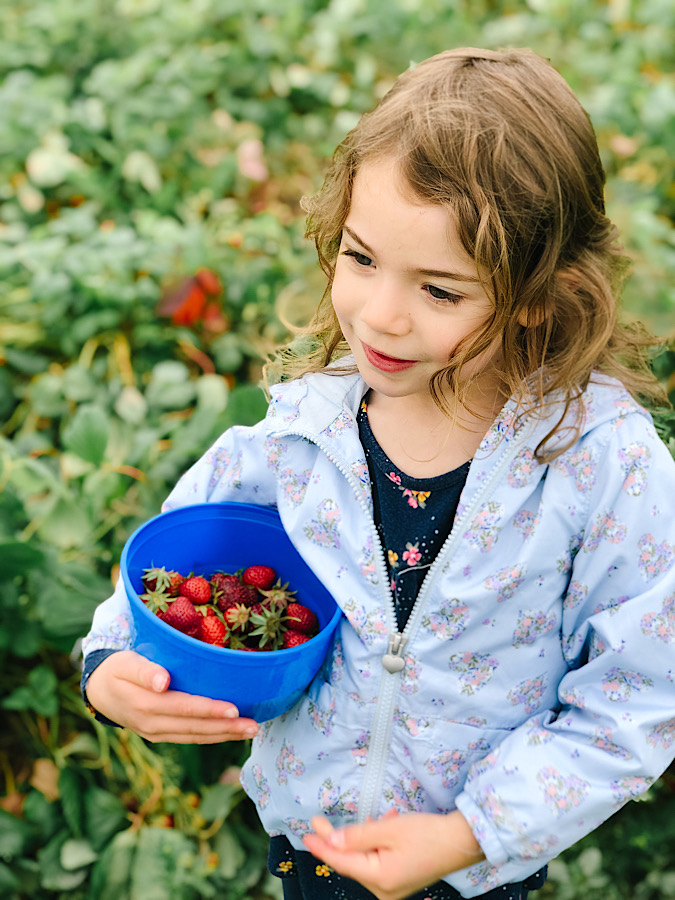 46236C4A-ED3E-4C0C-B0CC-E5E8DED7683D