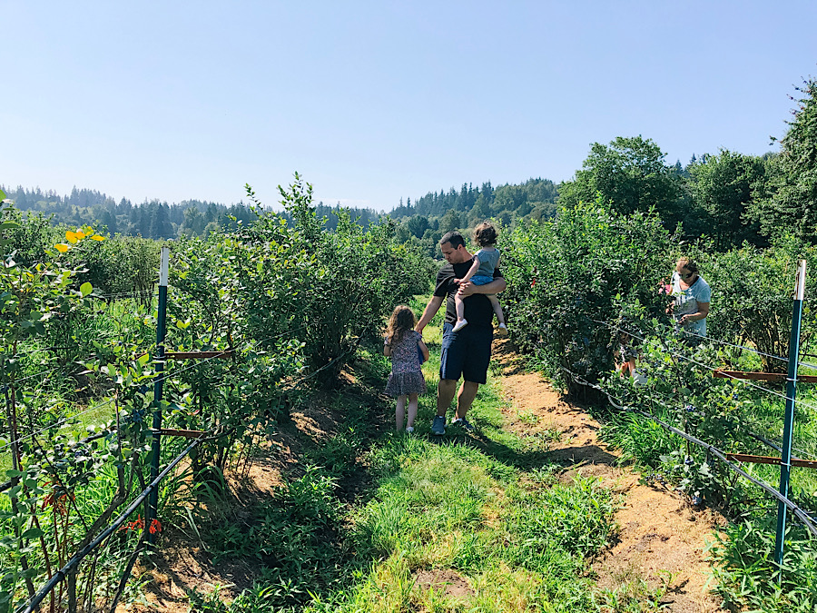 6465123A-766B-4092-83A5-D4AC5254DF3B