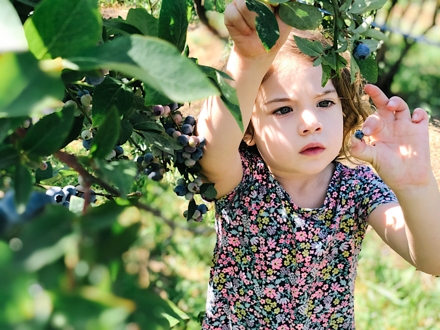 650299A9-E145-4A89-897C-7A13EC2F2D83