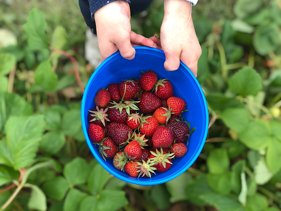 949FFFE9-5AF7-415B-BFAC-F063EA9D39AB