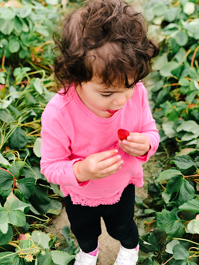 9B793682-6218-48CF-82EC-347A64D55128