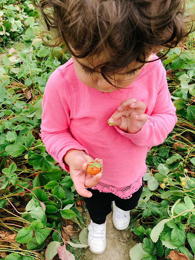 A54143BD-4945-4B16-BA81-9B407D768261