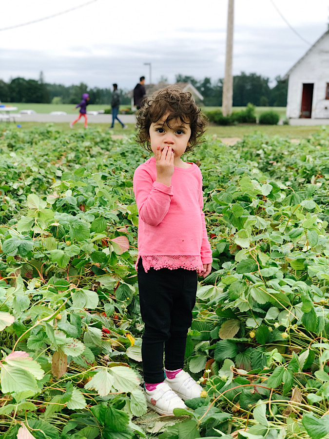 B01C6AC1-69EC-40EC-91AA-540652F2B2A7