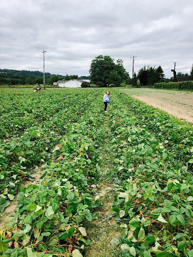 BF231C48-8DD5-46A4-A34A-BF65313EC757