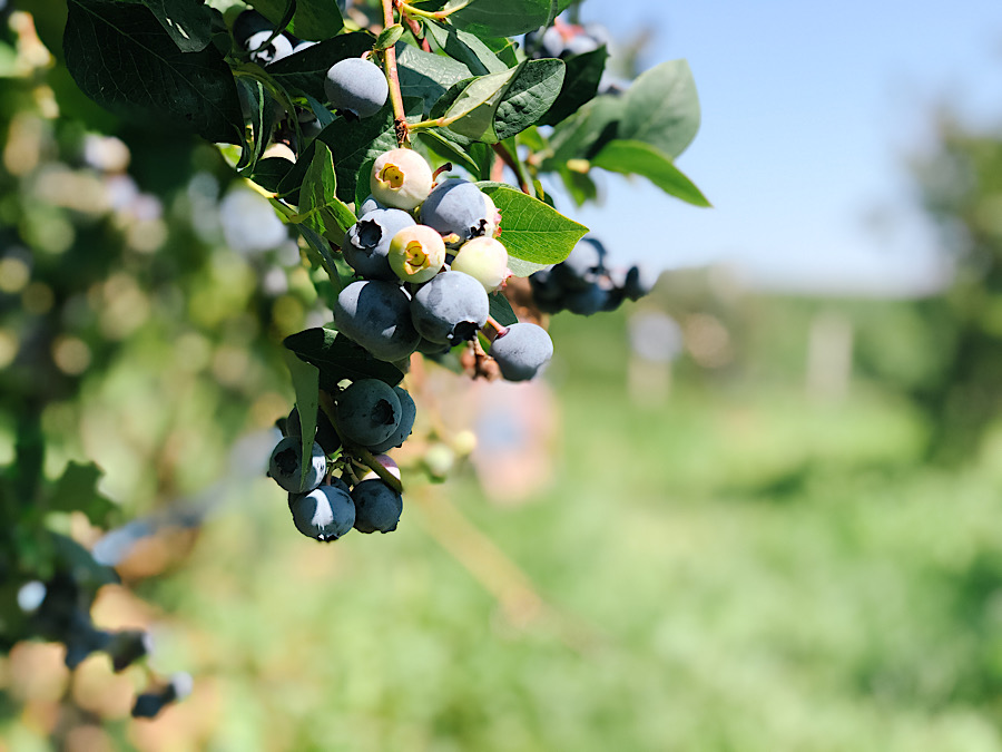 BF80847C-3825-4979-920F-681A7F18ADA4