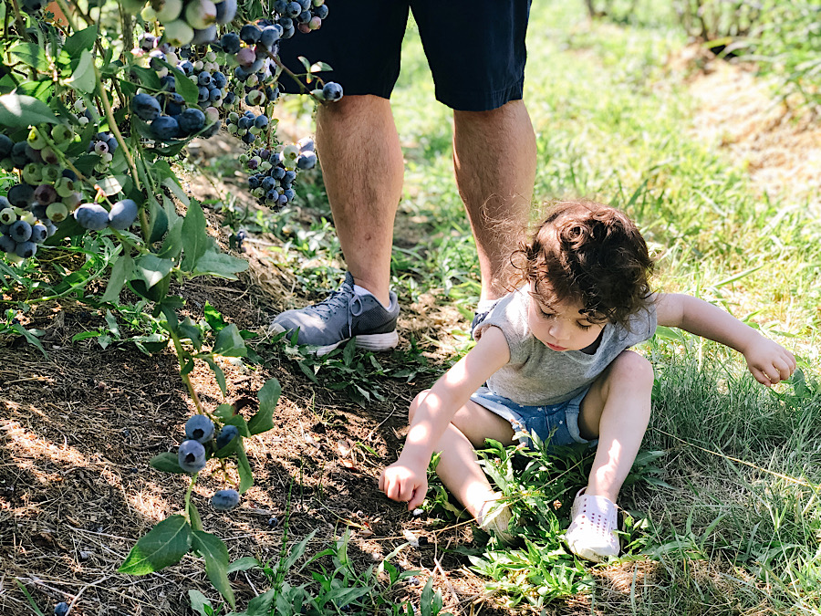 CF8DB1CE-F13E-4DD1-9BD2-97E1804C5A5F