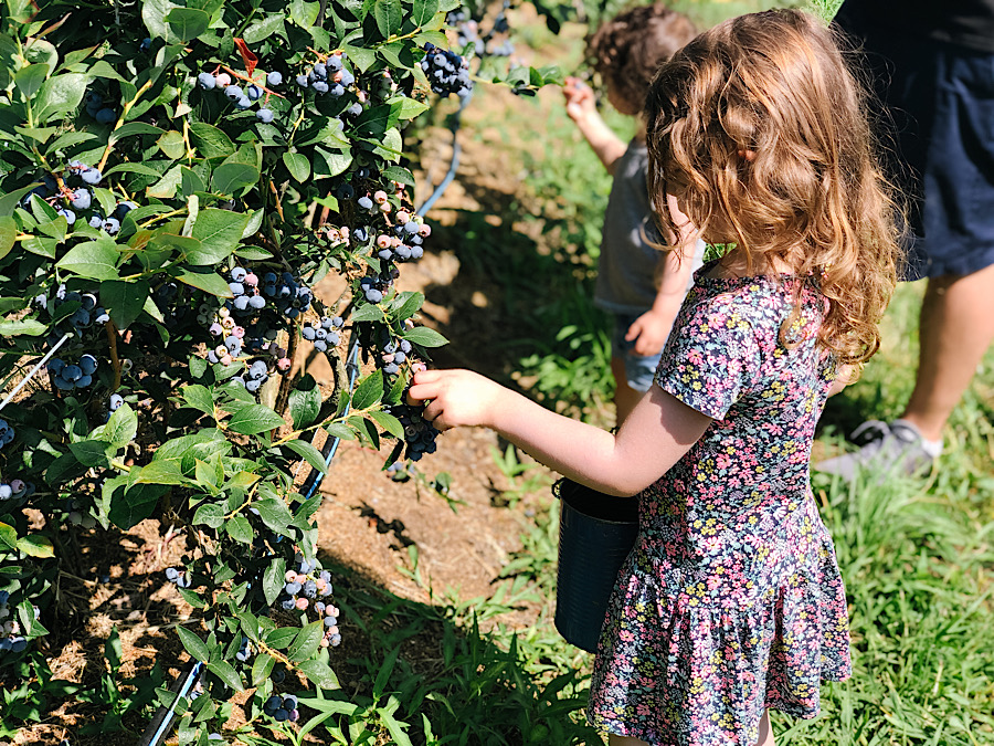 E28C3A2F-3244-45E2-9585-59F971A52354