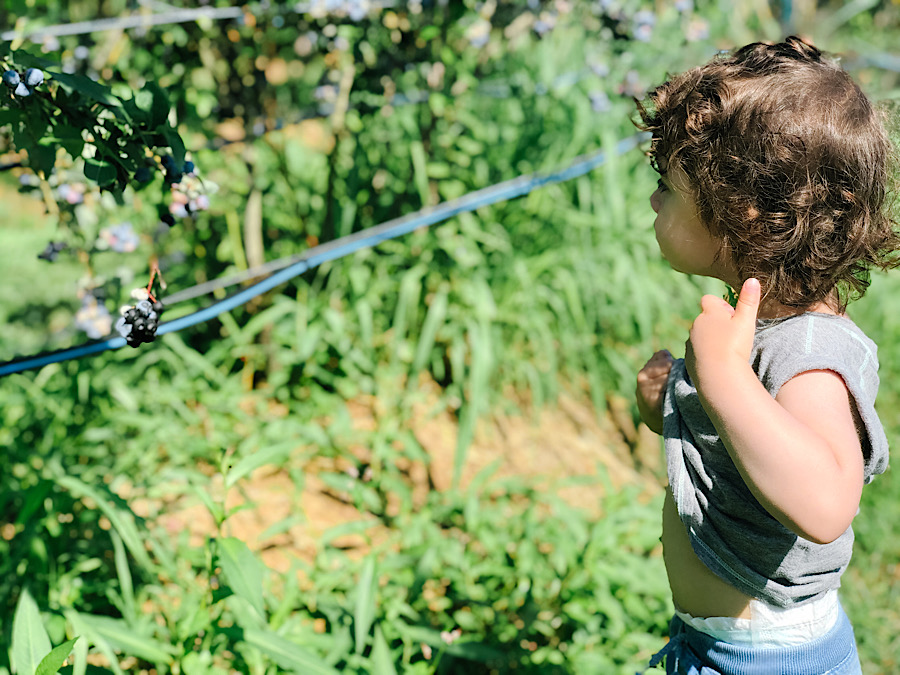 E3C89145-8E38-4F02-9020-E8F7A17BCF61