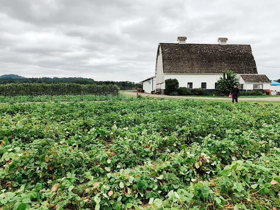 ED4A5BE9-C461-4C92-93CE-67FEC57F9791