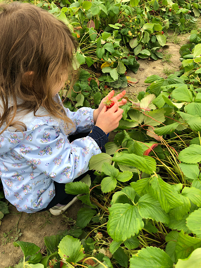 F468C45D-9C55-44AA-94C3-30B035A6460A