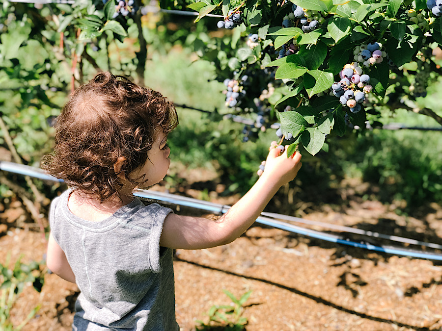 F617CA2A-3FC0-4893-B778-D0902711A324